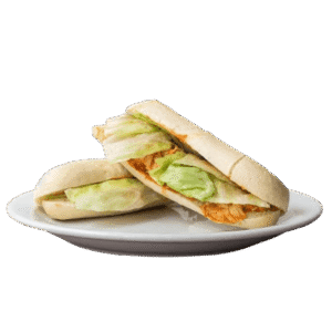 Panini